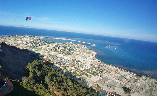 Bay lên 